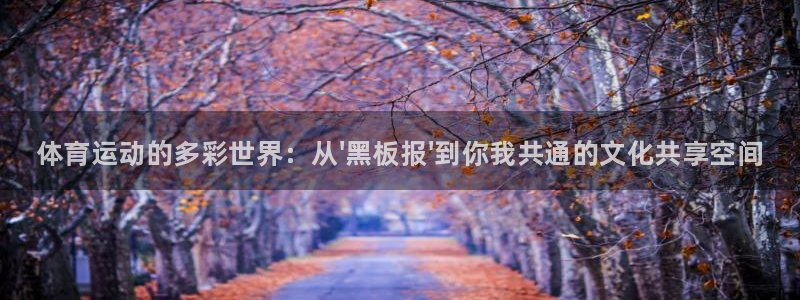 公海赌赌船官网下载软件：体育运动的多彩世界：从\'黑