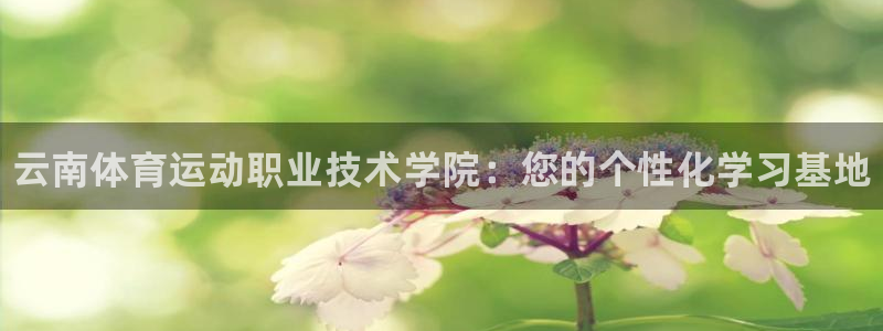 公海赌赌船官方正版app娱乐首页网站大全：云南体育运