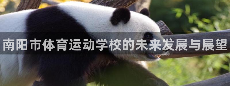 公海赌赌船官网下载招商电话号码查询是多少：南阳市体育