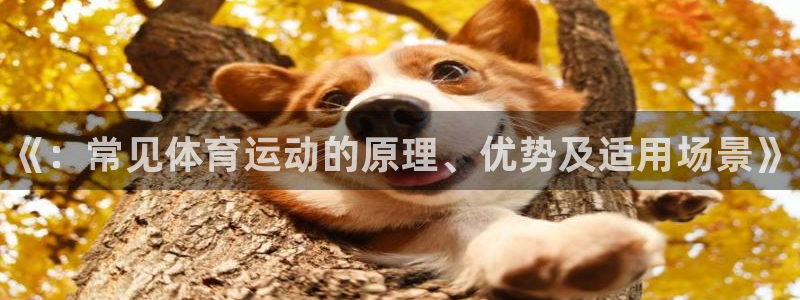 公海赌赌船官网下载平台假的吗是真的吗：《：常见体育运