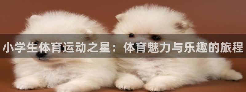 公海赌赌船官网下载开户：小学生体育运动之星：体育魅力