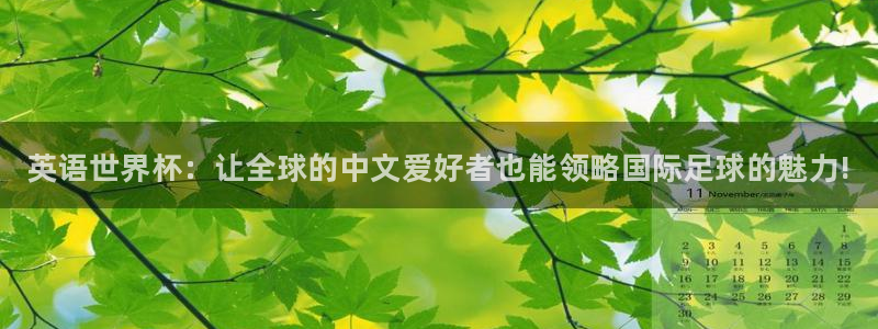 公海赌赌船官网下载平台注册流程图：英语世界杯：让全球