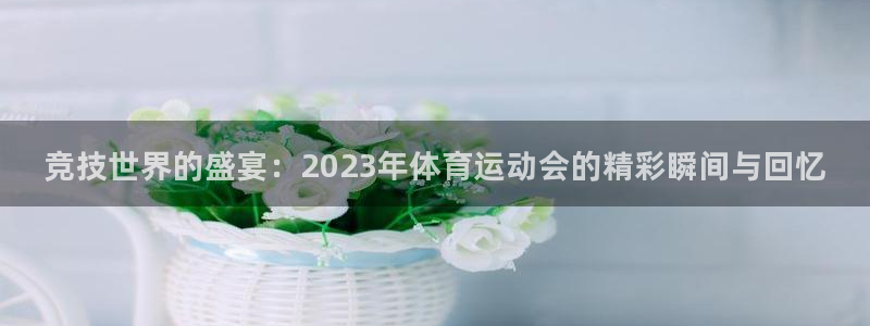公海赌赌船官方正版app娱乐平台：竞技世界的盛宴：2