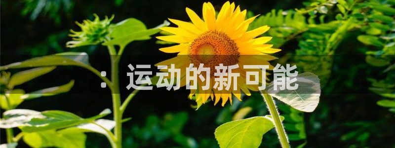 公海赌赌船官网下载娱乐：：运动的新可能