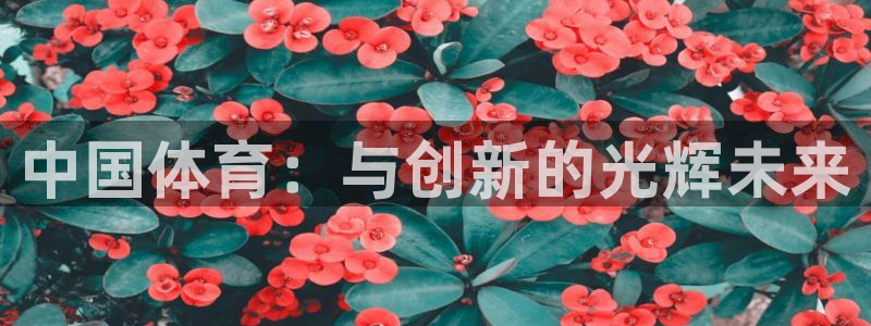 公海赌赌船官网下载平台注册流程图：中国体育：与创新的光辉未来