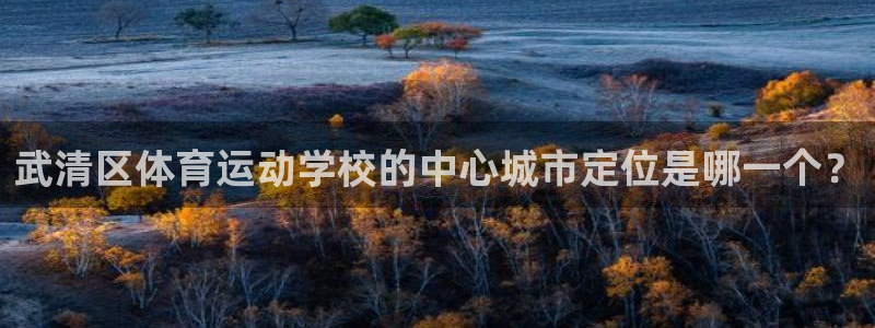 公海赌赌船官方正版app集团：武清区体育运动学校的中心城市定