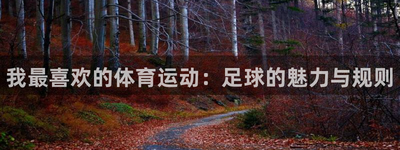 公海赌赌船官方正版app集团官网网址：我最喜欢的体育