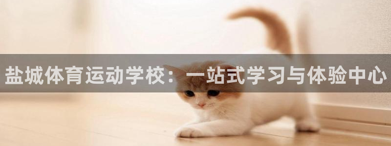 公海赌赌船官网下载软件：盐城体育运动学校：一站式学习