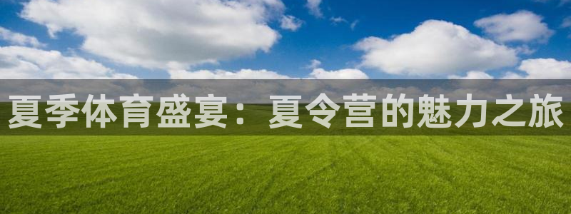 公海赌赌船官方正版app集团简介