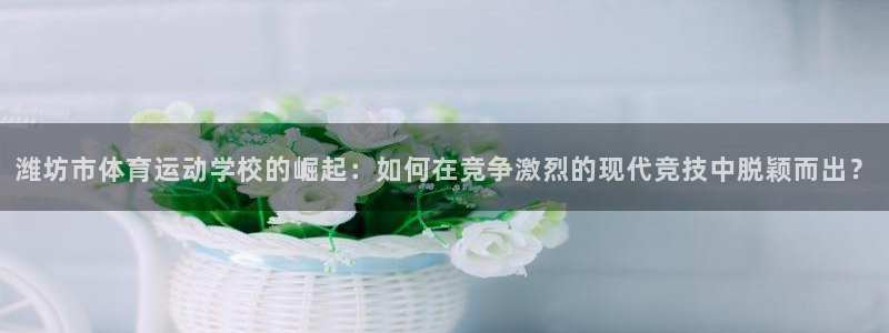 公海赌赌船官方正版app集团：潍坊市体育运动学校的崛