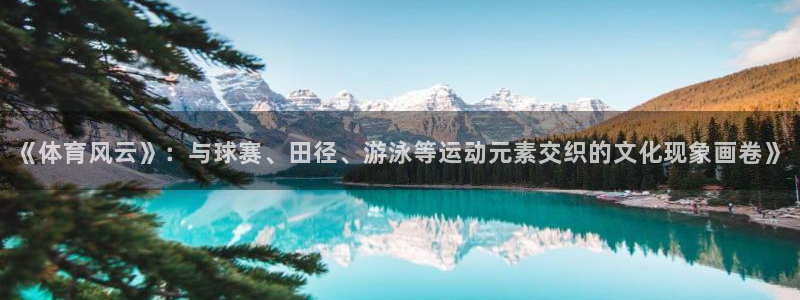 公海赌赌船官网下载平台注册要钱吗安全吗：《体育风云》