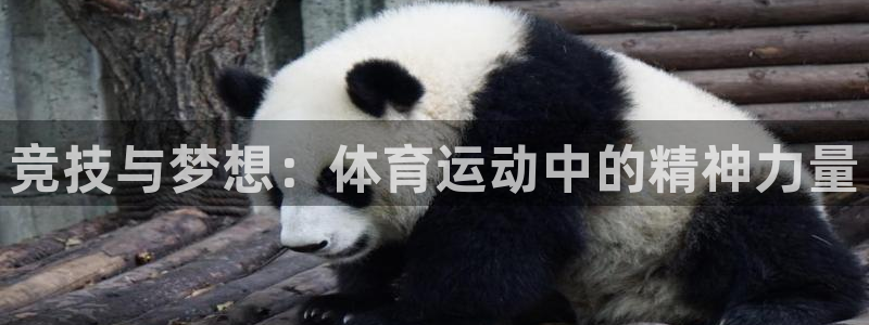 公海赌赌船官方正版app娱乐平台：竞技与梦想：体育运