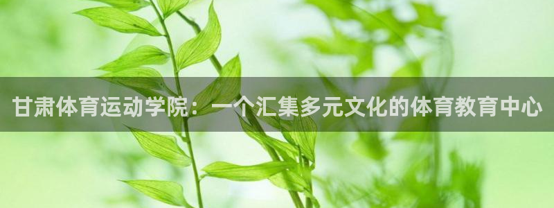 公海赌赌船官网下载招商电话号码查询是多少：甘肃体育运