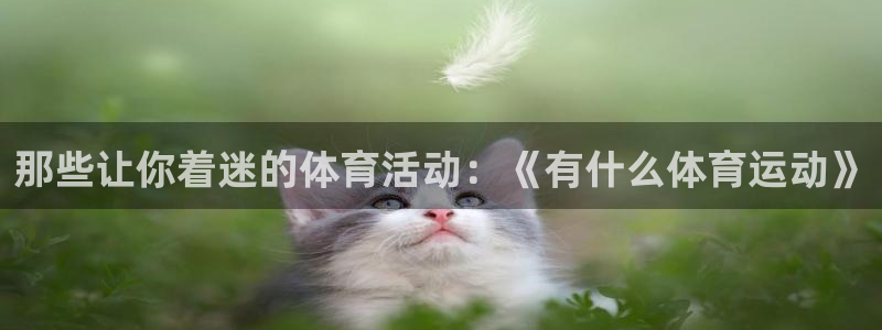 公海赌赌船官方正版app娱乐40996:那些让你着迷的体育活