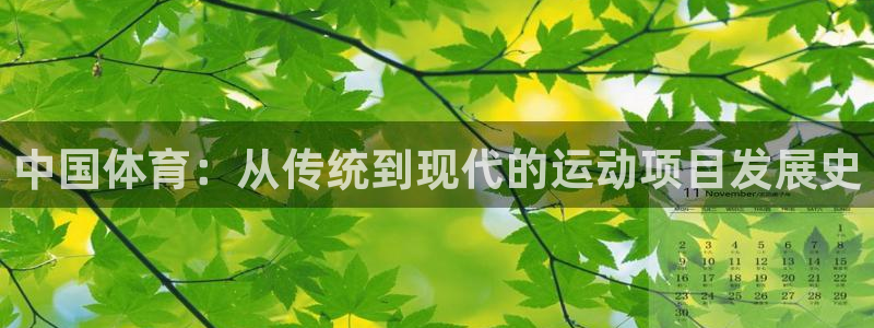 公海赌赌船官网下载招商电话号码是多少啊:中国体育:从传统到现
