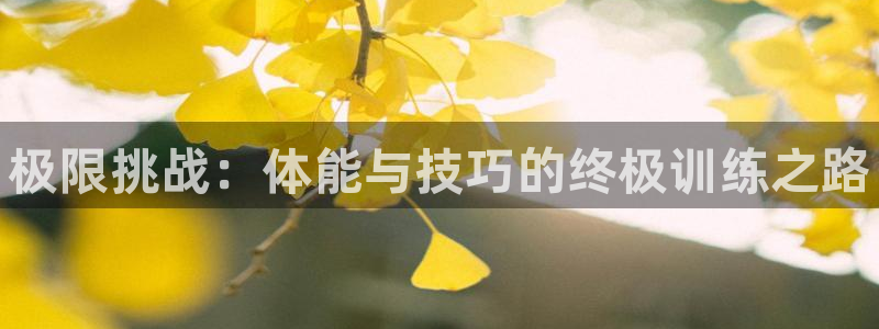 公海赌赌船官方正版app集团官网首页:极限挑战:体能与技巧的