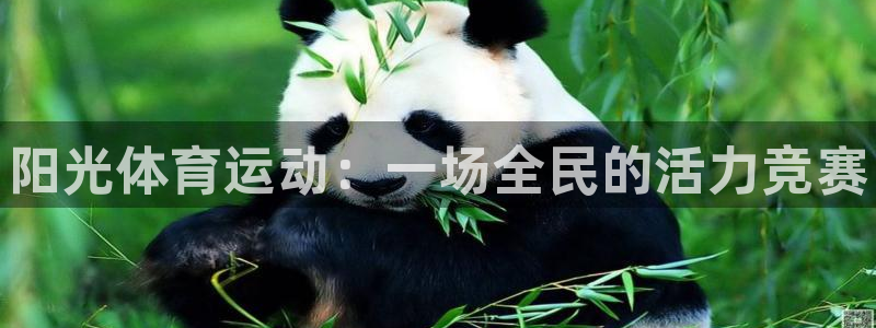公海赌赌船官网下载是干嘛的公司:阳光体育运动:一场全民的活力