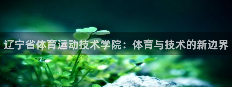 公海赌赌船官网下载平台假的吗是真的吗:辽宁省体育运动技术学院