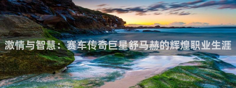 公海赌赌船官网下载招商电话是多少啊:激情与智慧:赛车传奇巨星