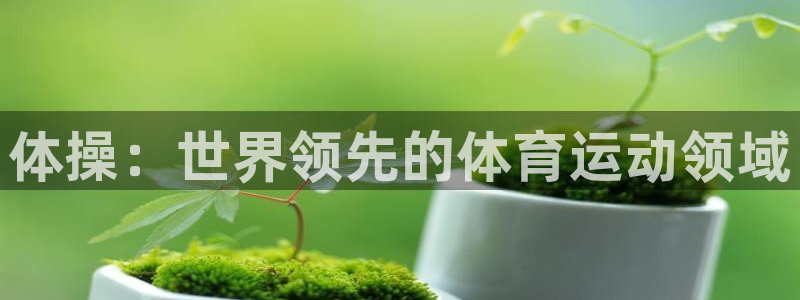 公海赌赌船官网下载：体操：世界领先的体育运动领域