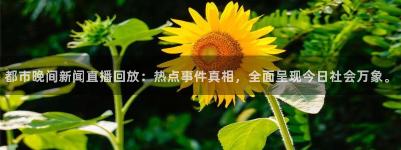 斗球直播在线观看nba：都市晚间新闻直播回放：热点事件真相，全面呈现今日社会万象。
