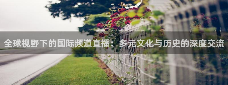 斗球体育app：全球视野下的国际频道直播：多元文化与历史的深度交流