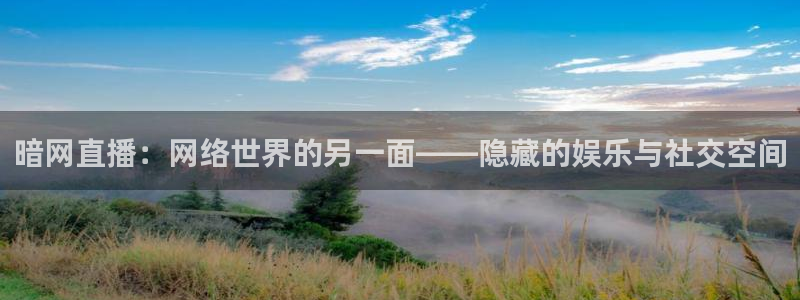 斗球直播免费观看高清：暗网直播：网络世界的另一面——隐藏的娱乐与社交空间