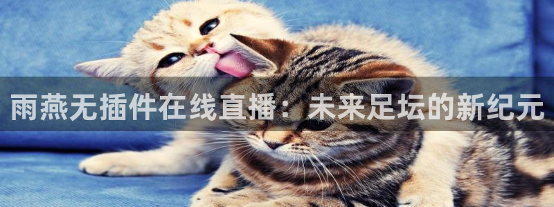 斗球直播电脑版：雨燕无插件在线直播：未来足坛的新纪元