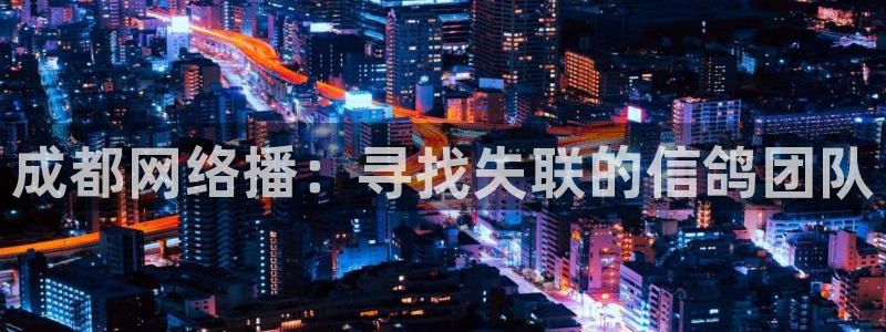 斗球直播app安卓版：成都网络播：寻找失联的信鸽团队